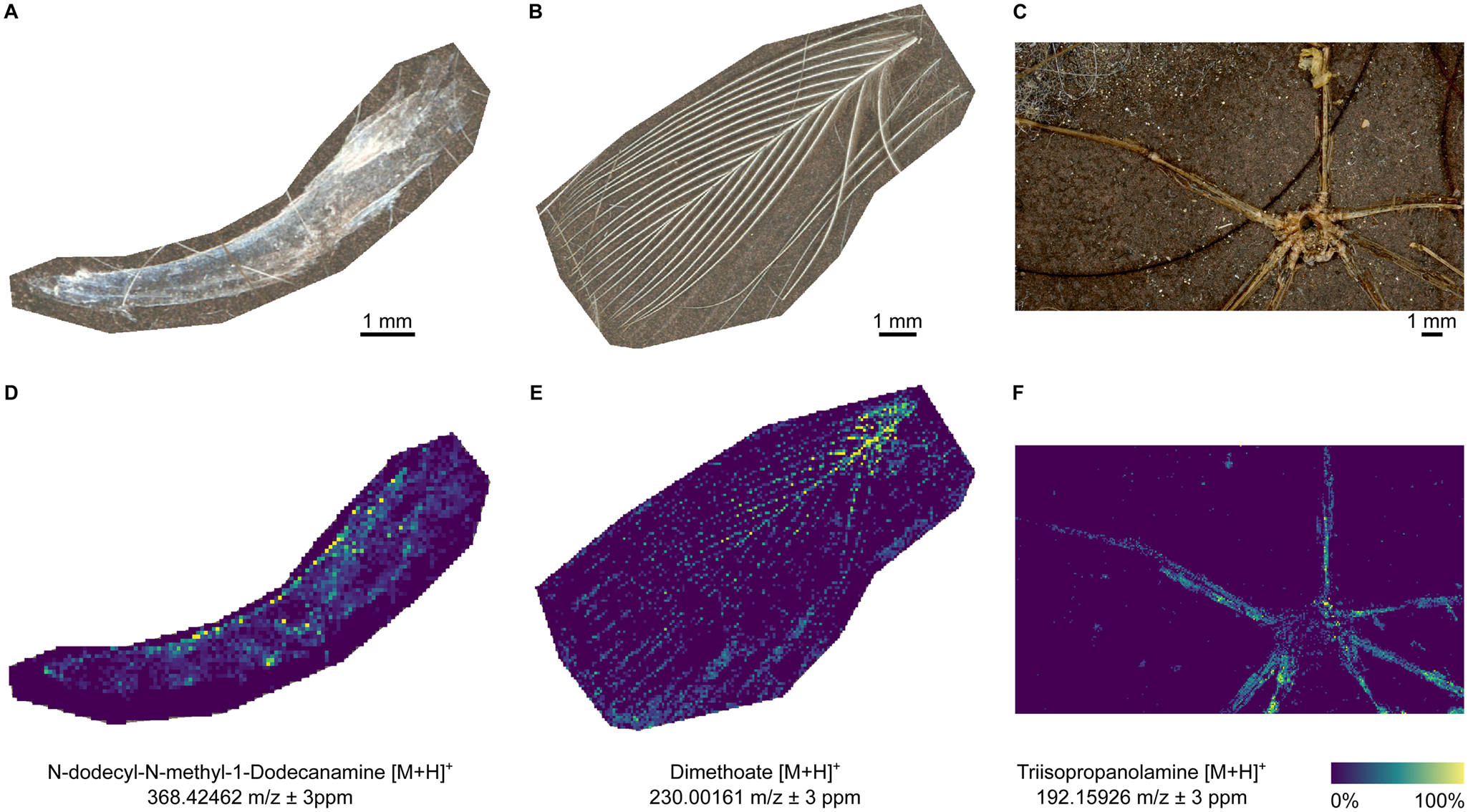 Figure 3.